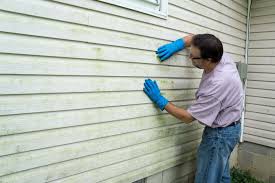 Affordable Siding Repair and Maintenance Services in Layton, UT